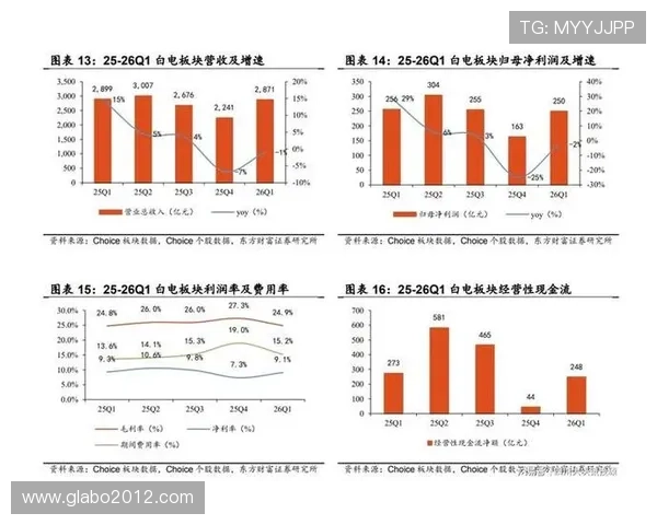 如何在百家乐扑克牌游戏中实现稳健盈利的实用技巧与经验